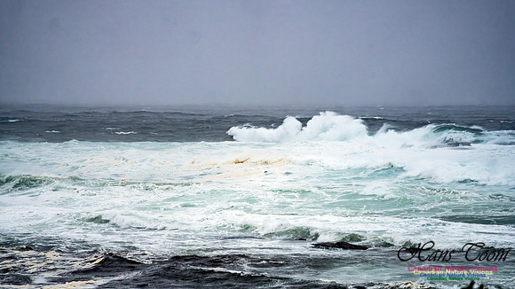 Nova Scotia Gale 2024-09-07 149