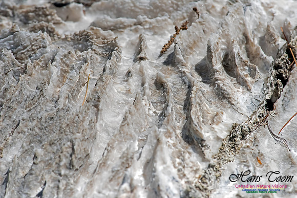 Gypsum