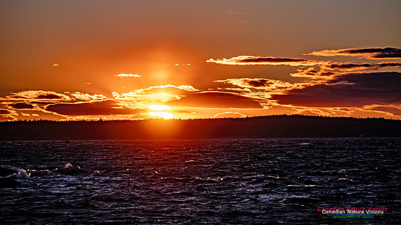 Peggy's Cove Sunset 909