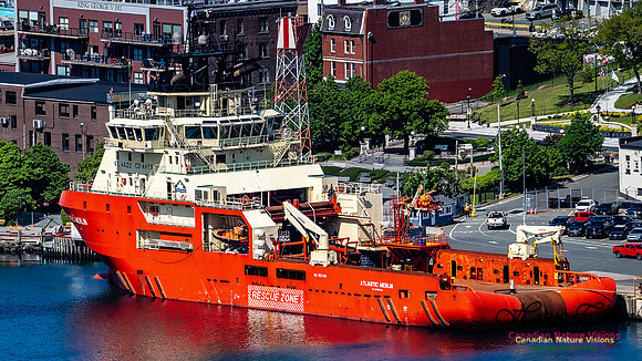 St. John's, Newfoundland 122