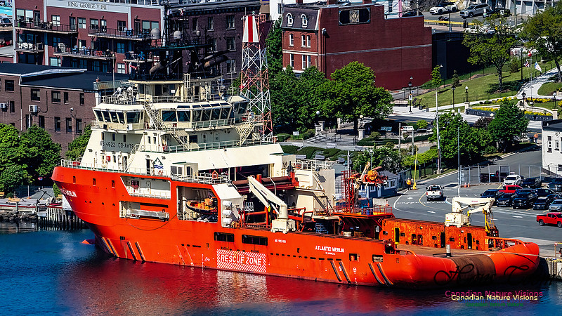 St. John's, Newfoundland 122
