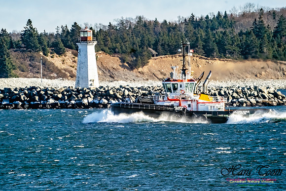 Tugs 107