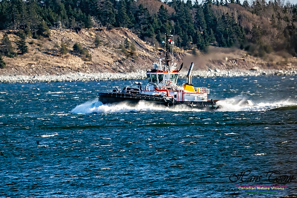 Tugs 103