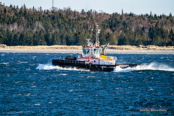 Tugs 105