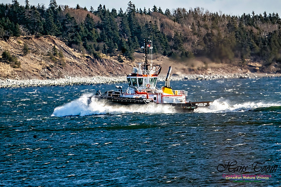 Tugs 104