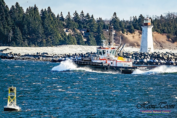 Tugs 106