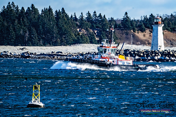 Tugs 100