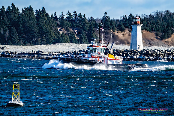 Tugs 101