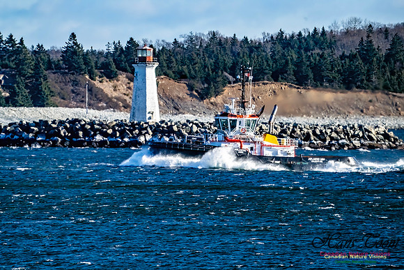Tugs 102