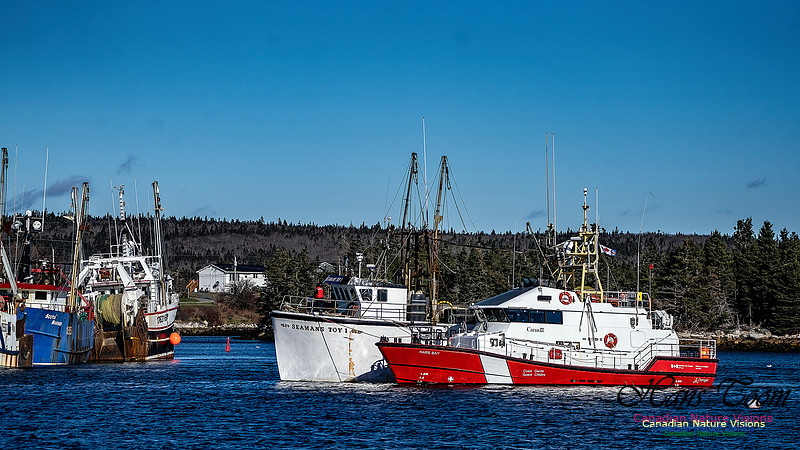 Coast Guard Tow 103