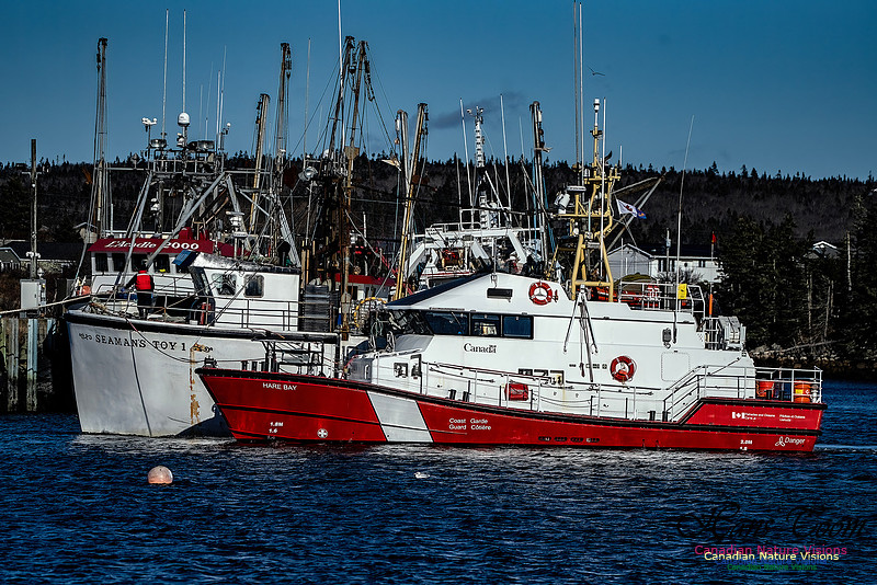 Coast Guard Tow 101