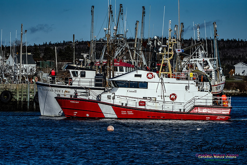Coast Guard Tow 100