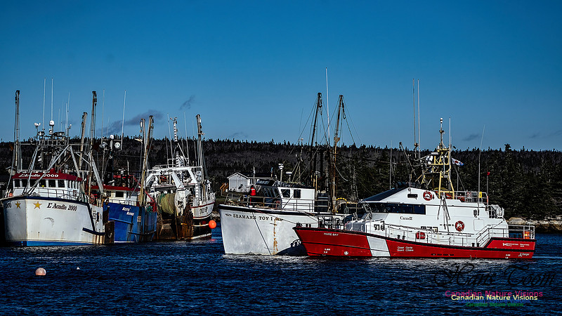 Coast Guard Tow 102