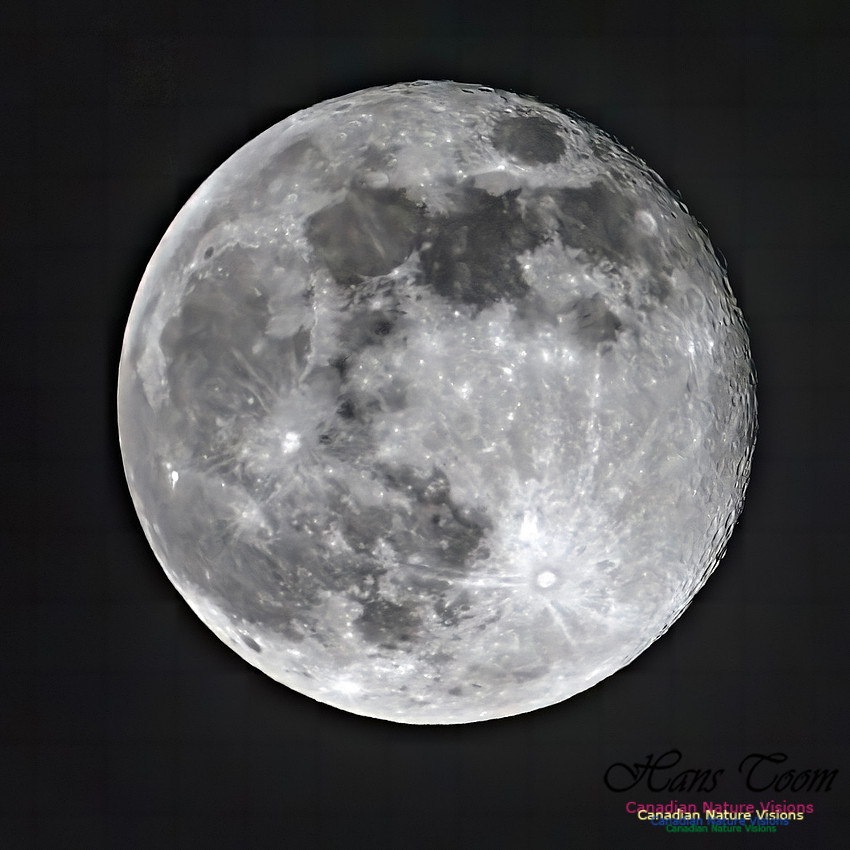 Supermoon plus one day 100