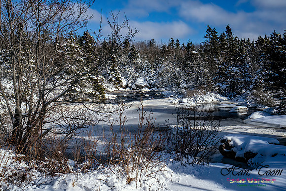 Nova Scotia Winter 302