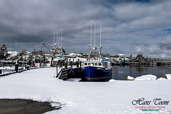 April Snow in Nova Scotia 208