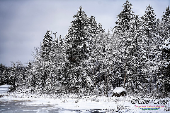 Snow Day 139