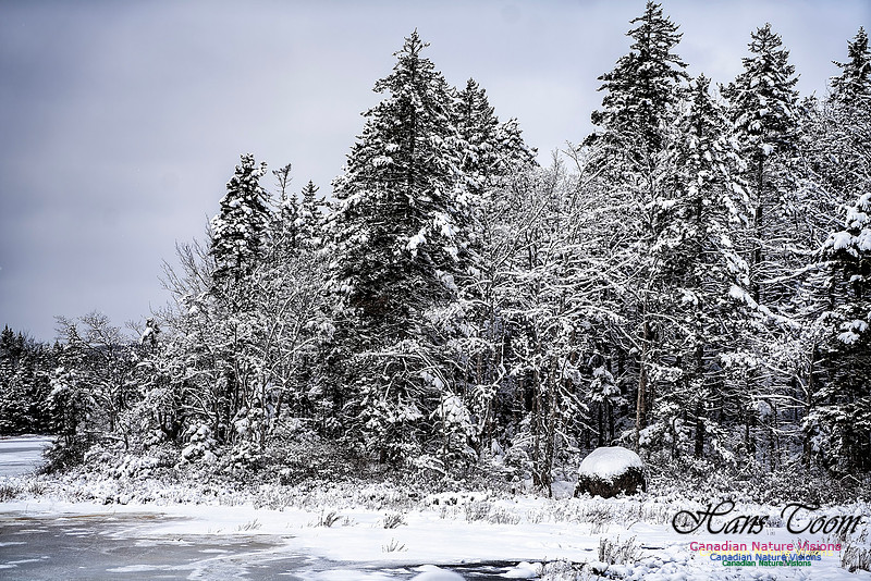 Snow Day 139
