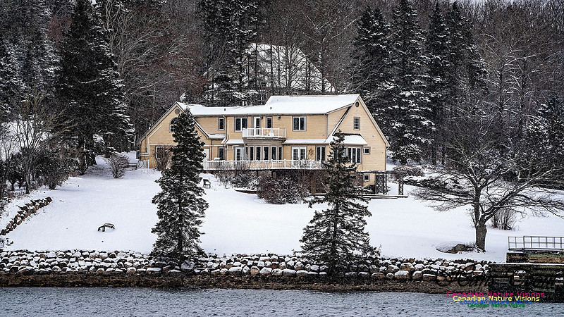 Snow Day 141