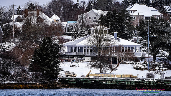 Snow Day 146
