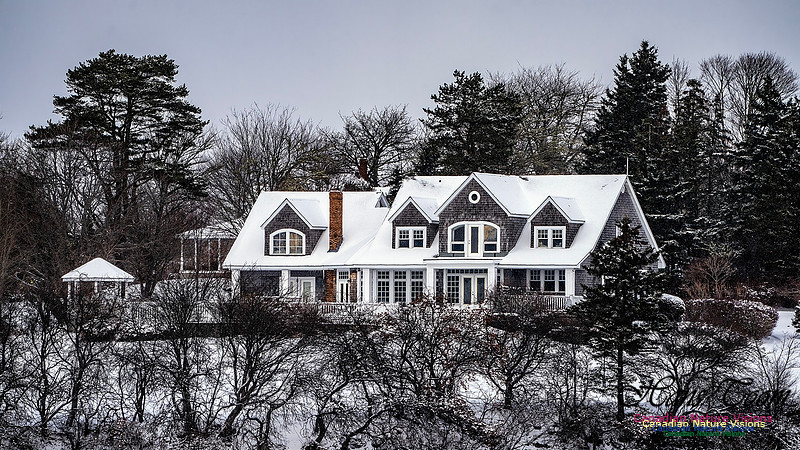 Snow Day 147