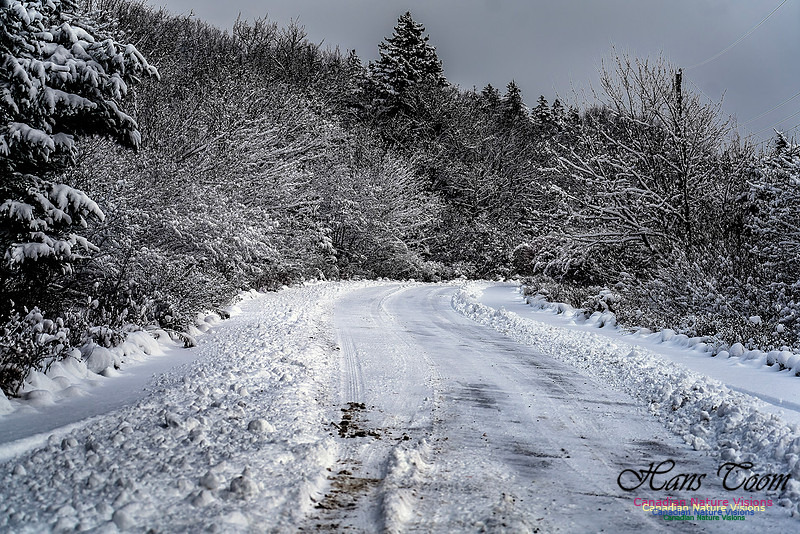 Snow Day 150