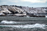 Snow Day in Nova Scotia
