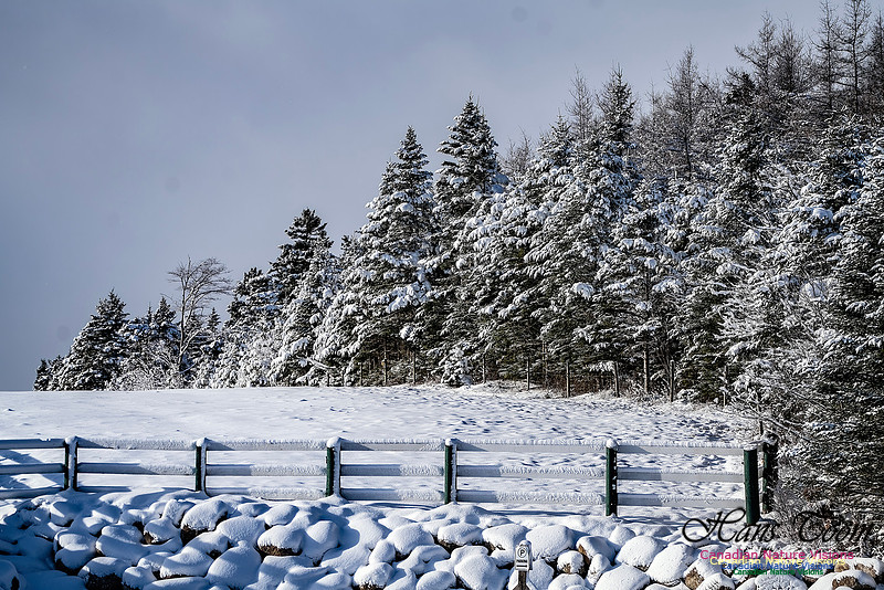 Snow Day 107