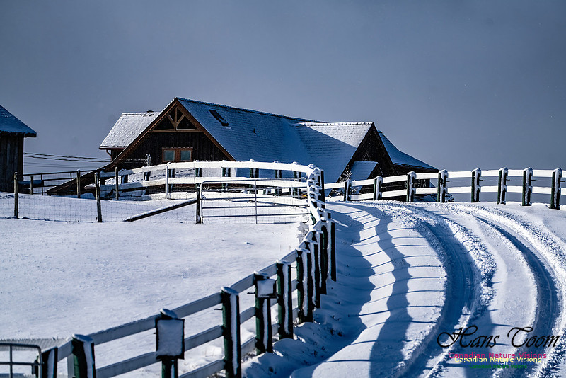Snow Day 108
