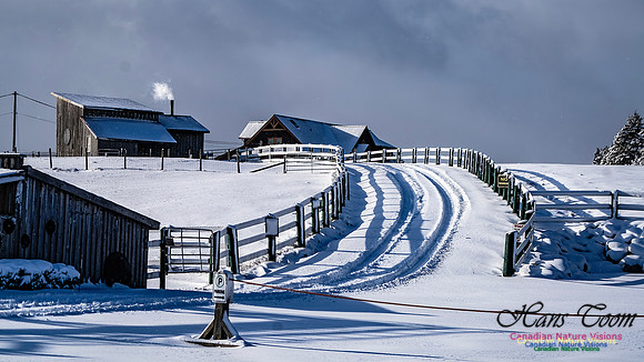 Snow Day 109