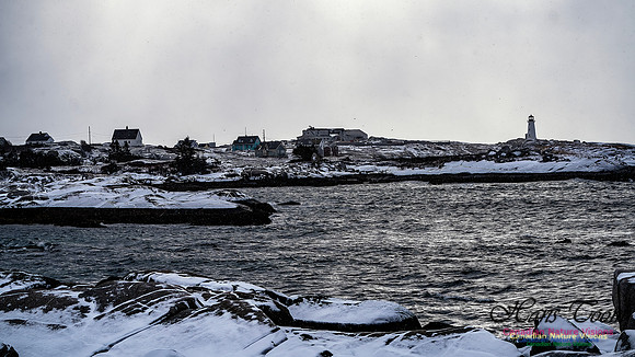 Snow Day 121