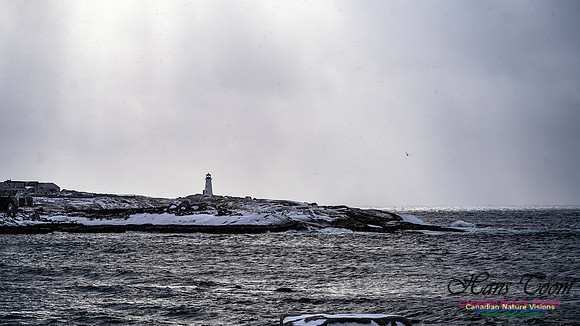 Snow Day 122