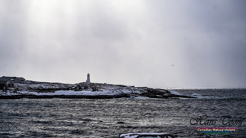 Snow Day 122