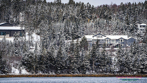 Snow Day 127