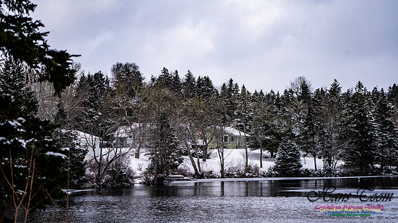 Snow Day 129