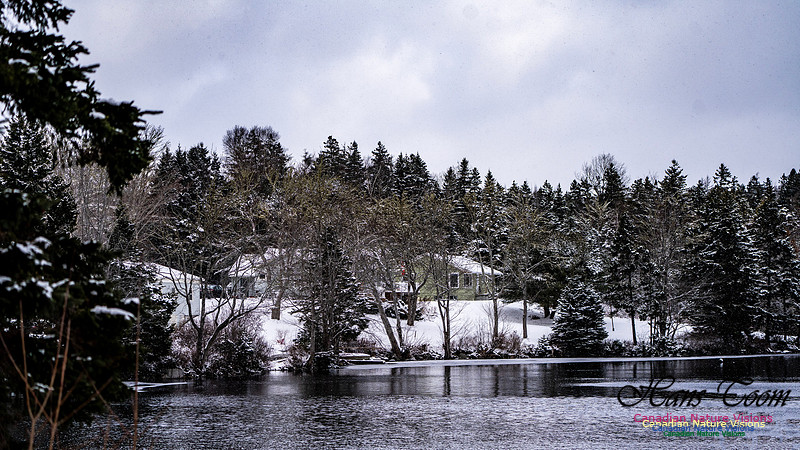 Snow Day 129