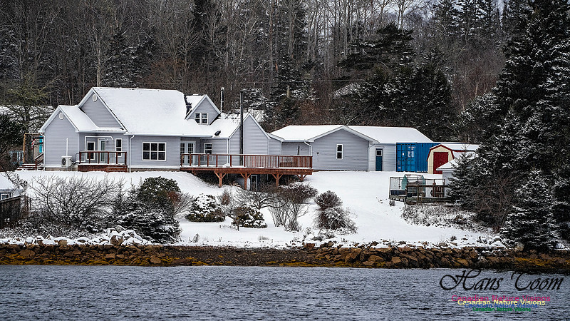 Snow Day 131