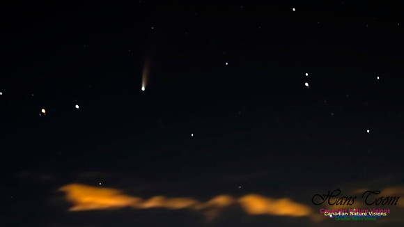 Comet Neowise