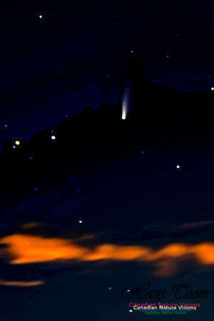 Comet Neowise