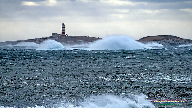 Late Fall Gale 104