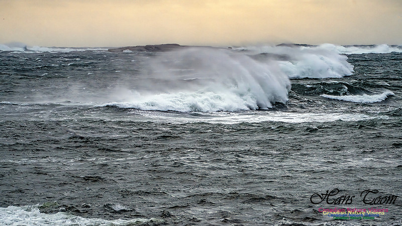 Late Fall Gale 107