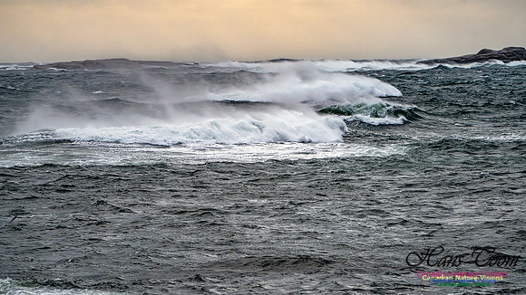 Late Fall Gale 106