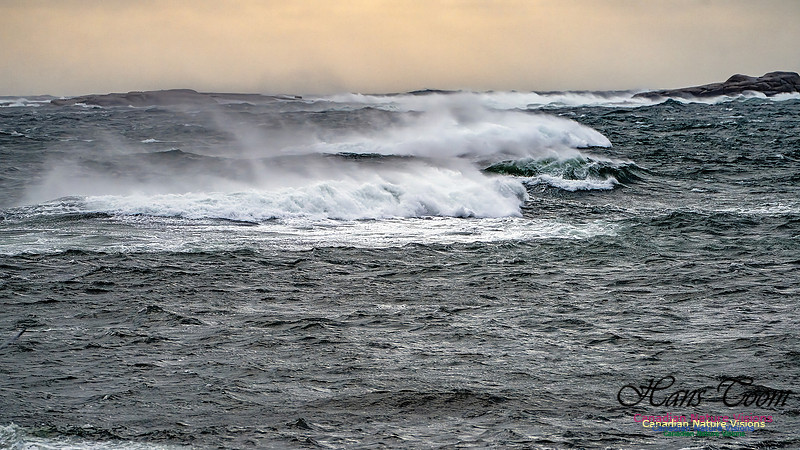 Late Fall Gale 106