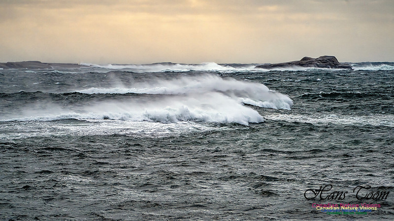 Late Fall Gale 105