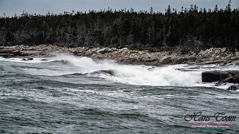 Late Fall Gale 109
