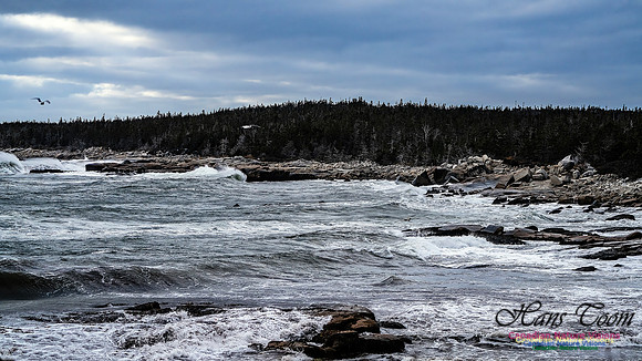 Late Fall Gale 113