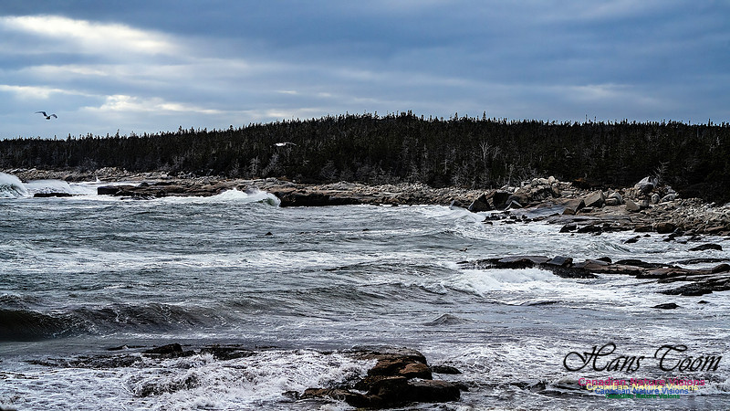 Late Fall Gale 113