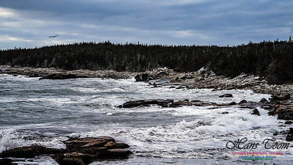 Late Fall Gale 114