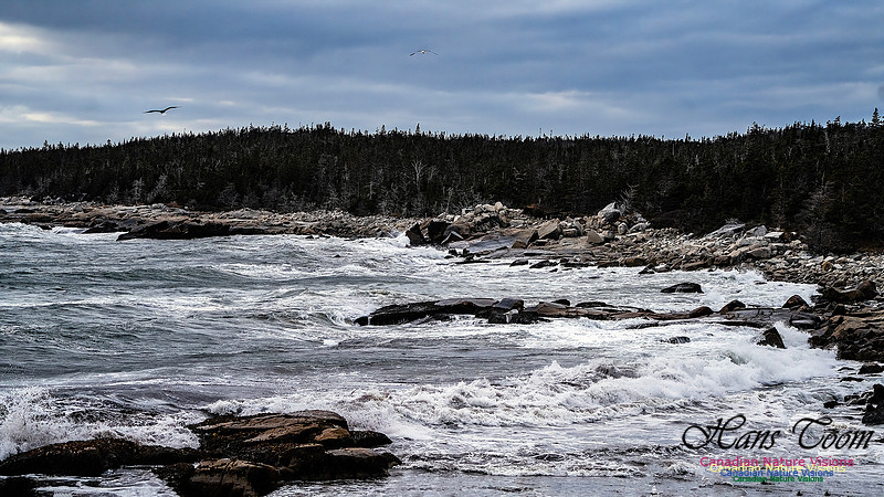 Late Fall Gale 114
