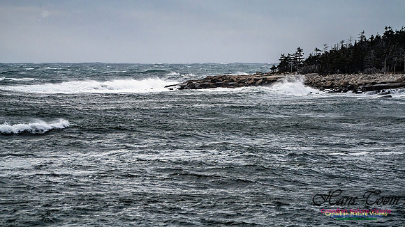 Late Fall Gale 115